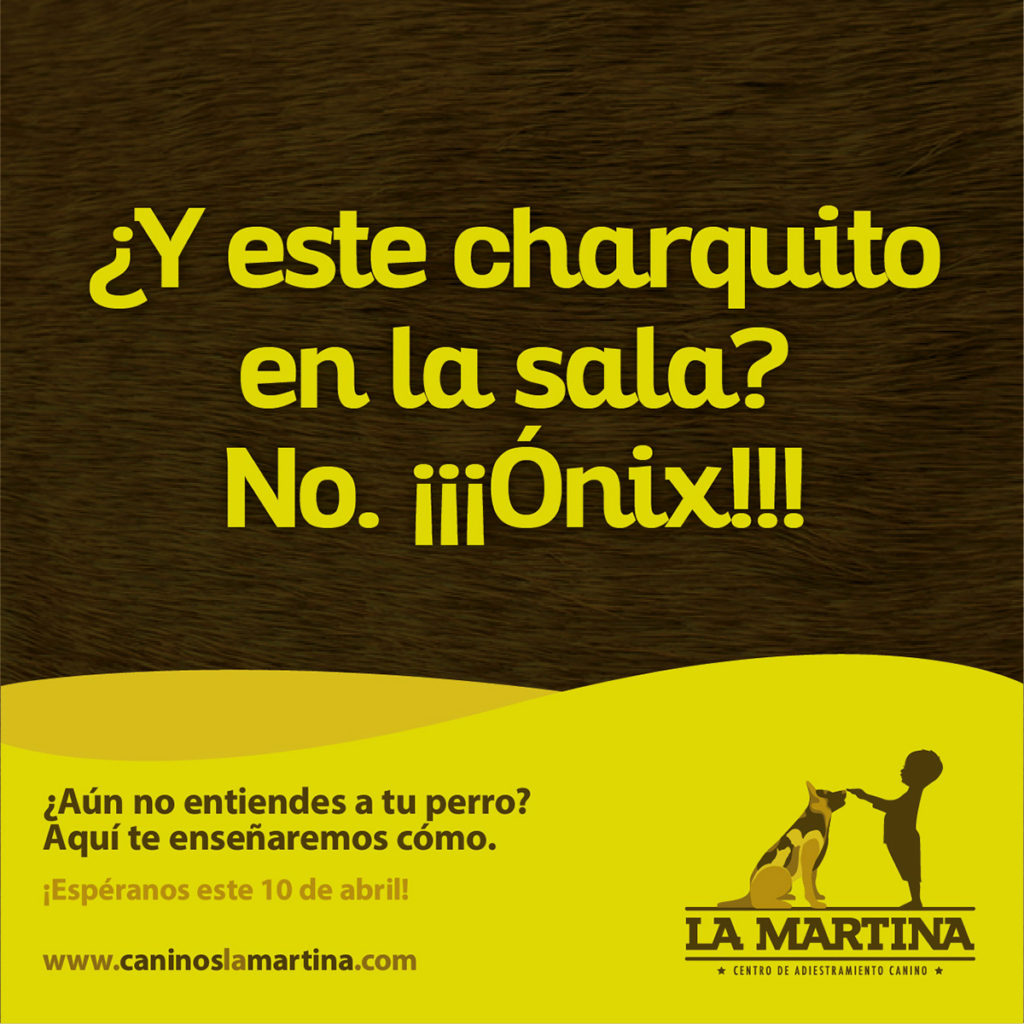 La-Casa-Concepto-La-Martina_0